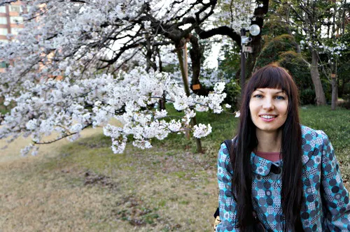 Cherry blossoms along the river at Edogawabashi