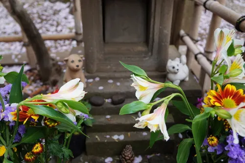 Professor Ueno's grave and Hachiko's memorial at Aoyama Cemetery