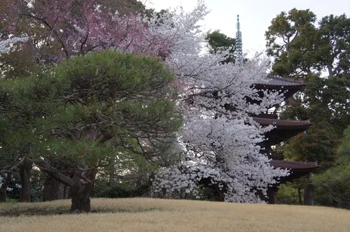 Three-storey pagoda in the Chinzanso garden
