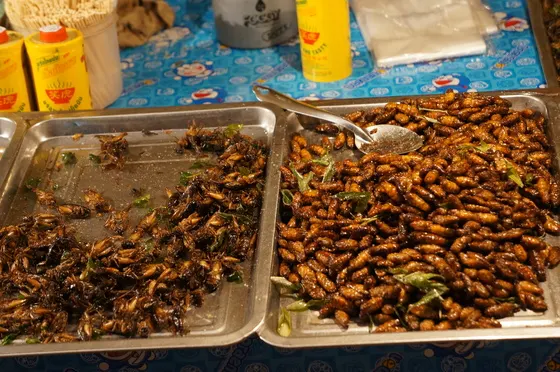 Fried insects at a local market on Koh Samui