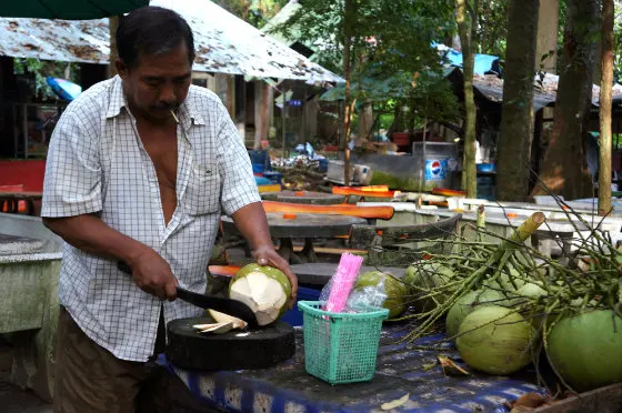 Opening a fresh green coconut with a machete on Koh Samui