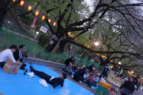 Sake and drinks for a hanami picnic